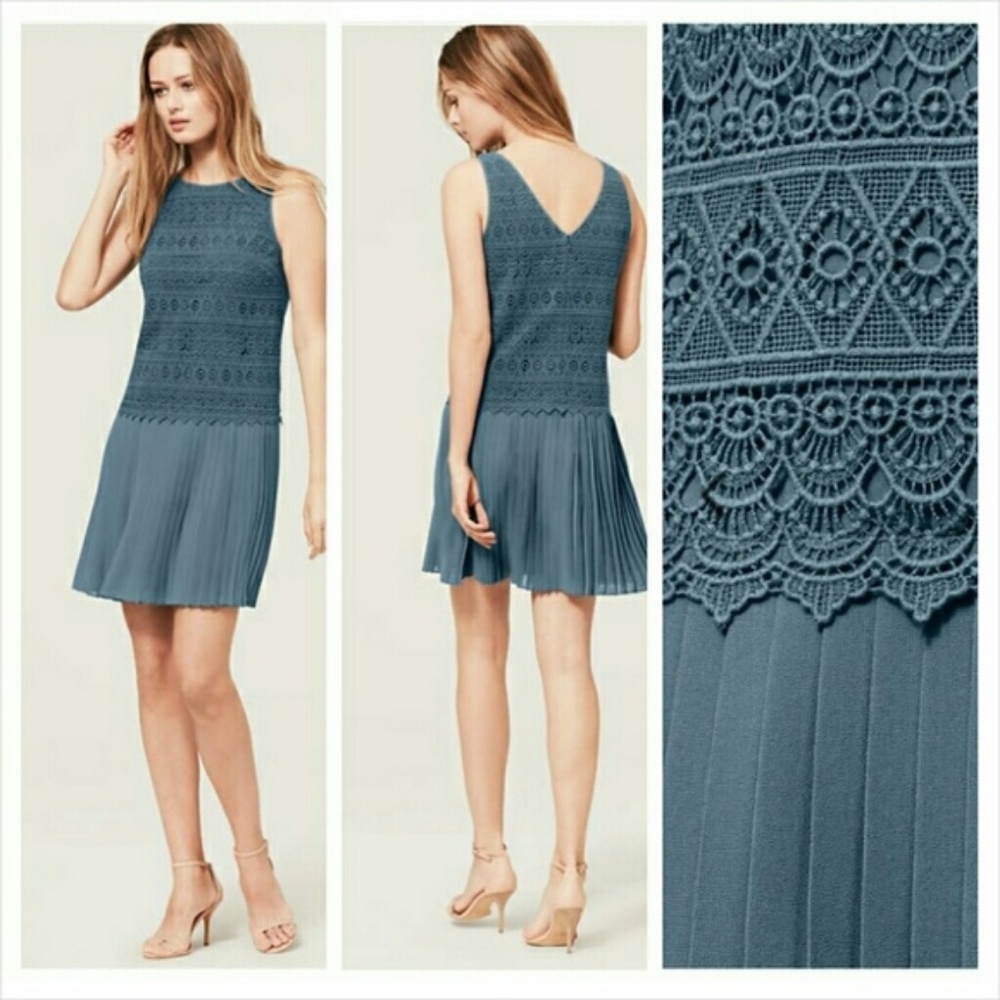 NWT LOFT Shift Dress 2
